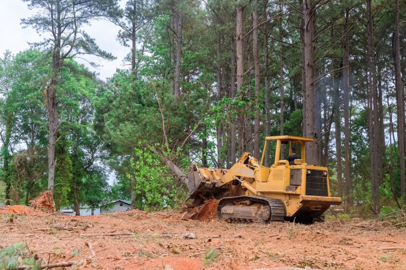 Land Clearing Operations
