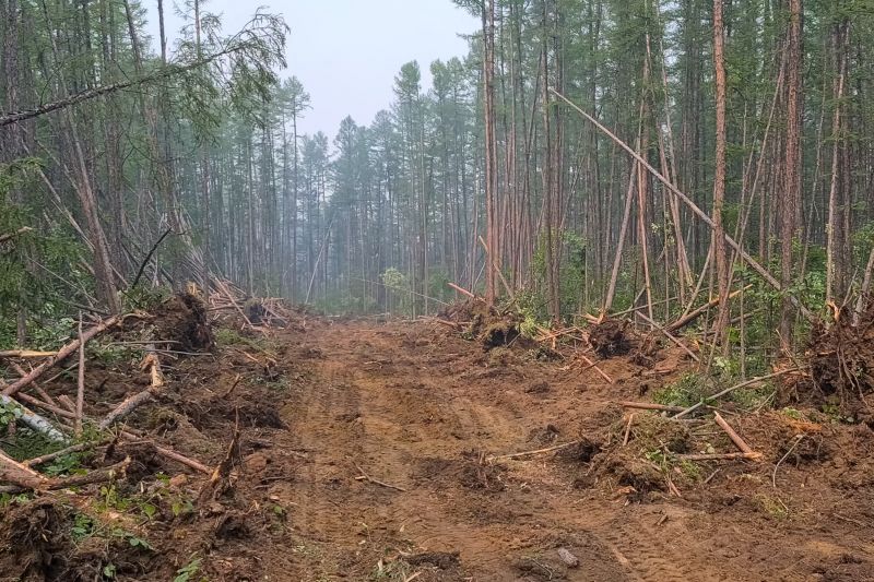 Hill Clearing in Marietta, GA