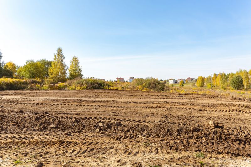 Site Clearing Service in Katy, TX